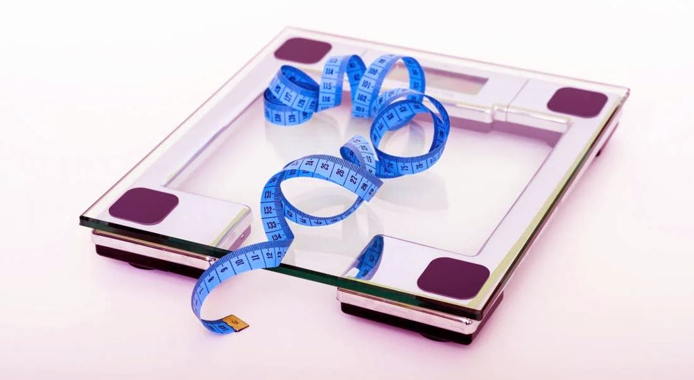 weight loss calculator