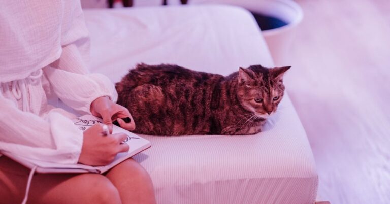 Pet Insurance