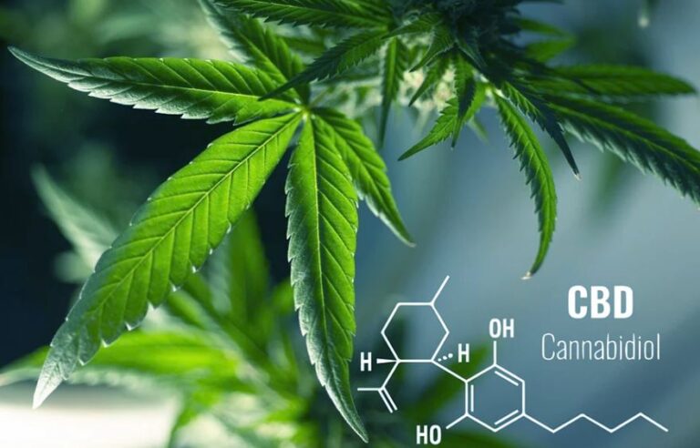 CBD