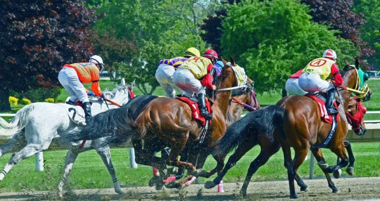 sports bettor