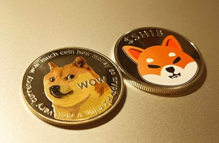 2 Cryptocurrencies That Could Dwarf Shiba Inu