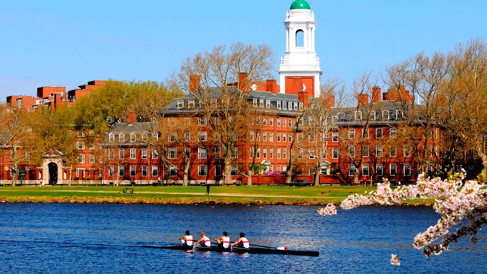 Top 7 Colleges in Boston 2023