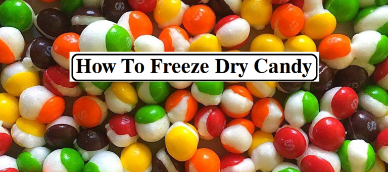 how to freeze dry candy