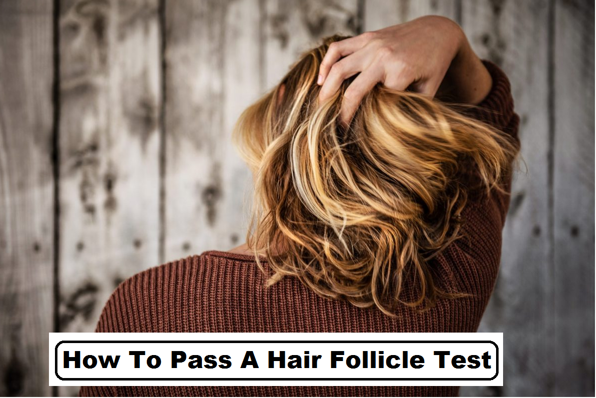 how to pass a hair follicle test in 2 days