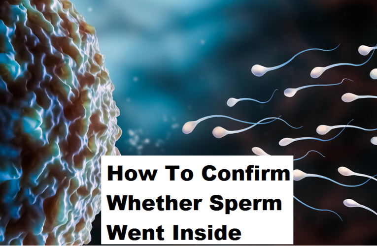 How To Confirm Whether Sperm Went Inside
