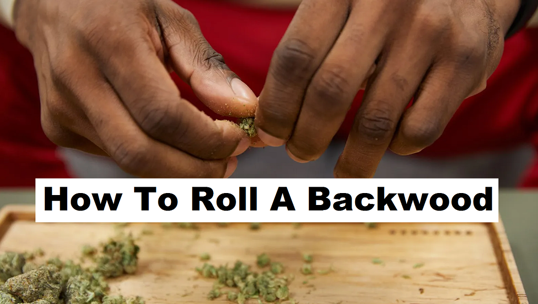 how to roll a backwood