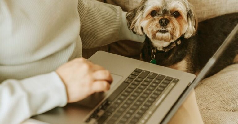 best ai tools for email writing 2027