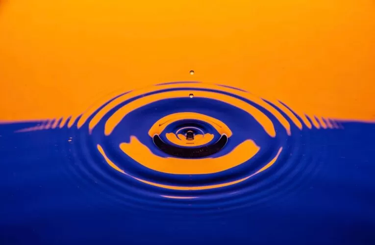 10 Water Containers Perfect for Indoor and Outdoor Activities