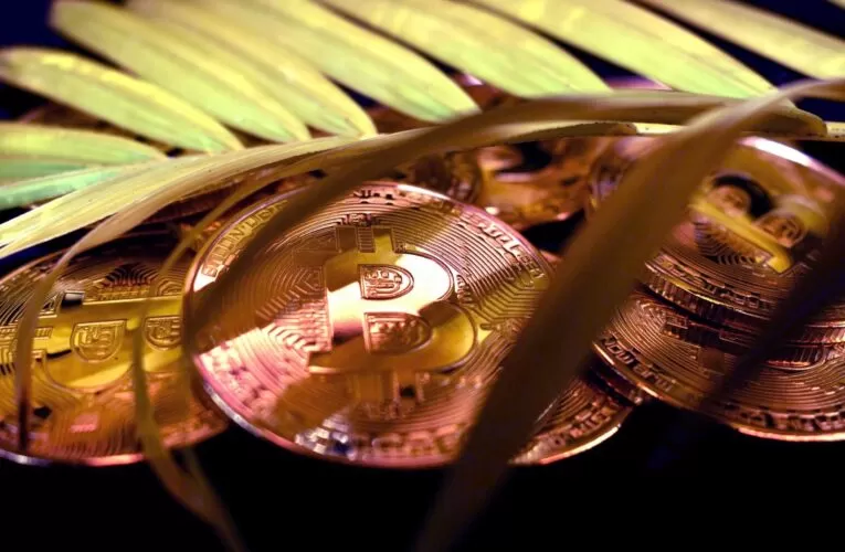 XMR Mining Essentials and Profitability Calculator