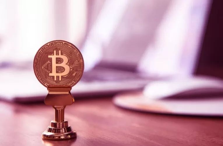 How Bitcoin IRA Custodian Can Help You