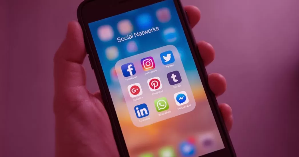 social media algorithms