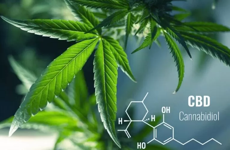 CBD: Surprising Health Benefits