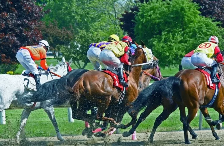 How Are The Odds Of A Game Determined?