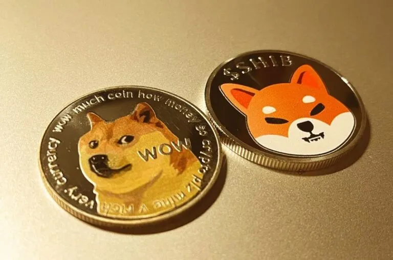 Shiba