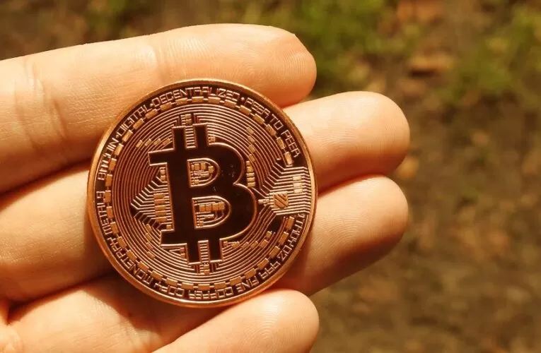 Best Crypto Cold Wallets available in the Crypto World