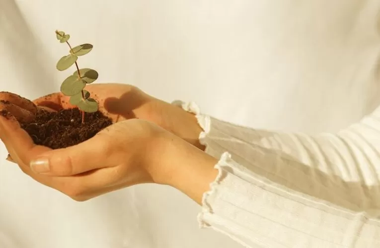 Simple Ways to Be More Environmentally Friendly