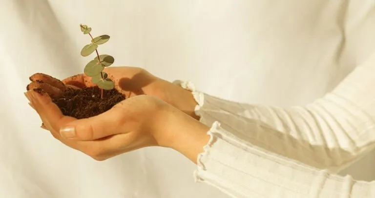Environmentally Friendly