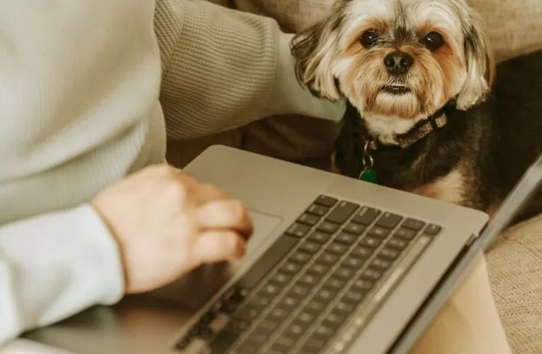 How To Make A Weekly Outfit Video With Online Animation