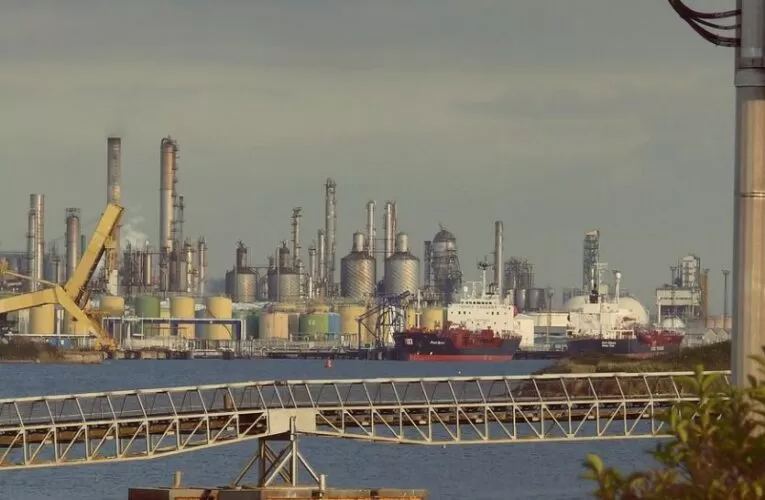 How do oil trading companies invest in digital tokens?