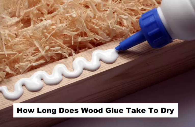 How Long Does Wood Glue Take To Dry