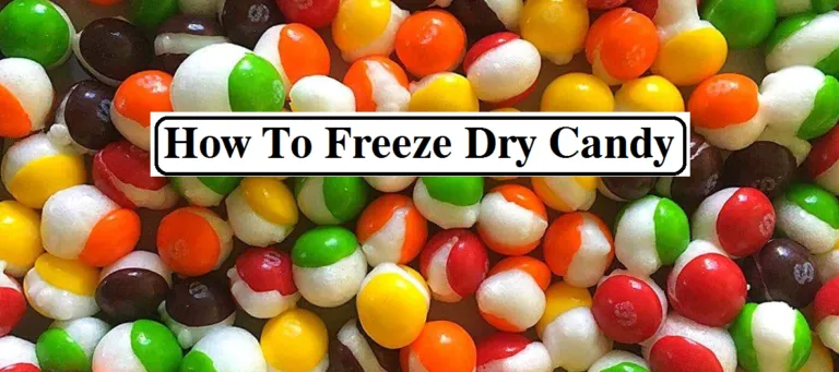 how to freeze dry candy