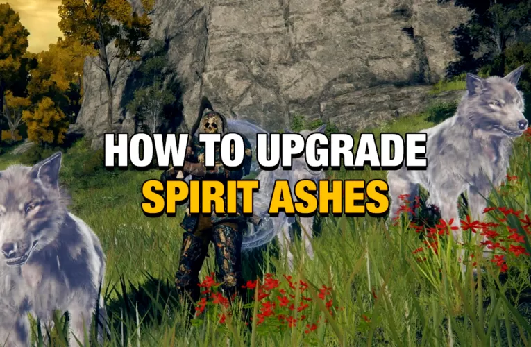 How To Upgrade Ashes Elden Ring