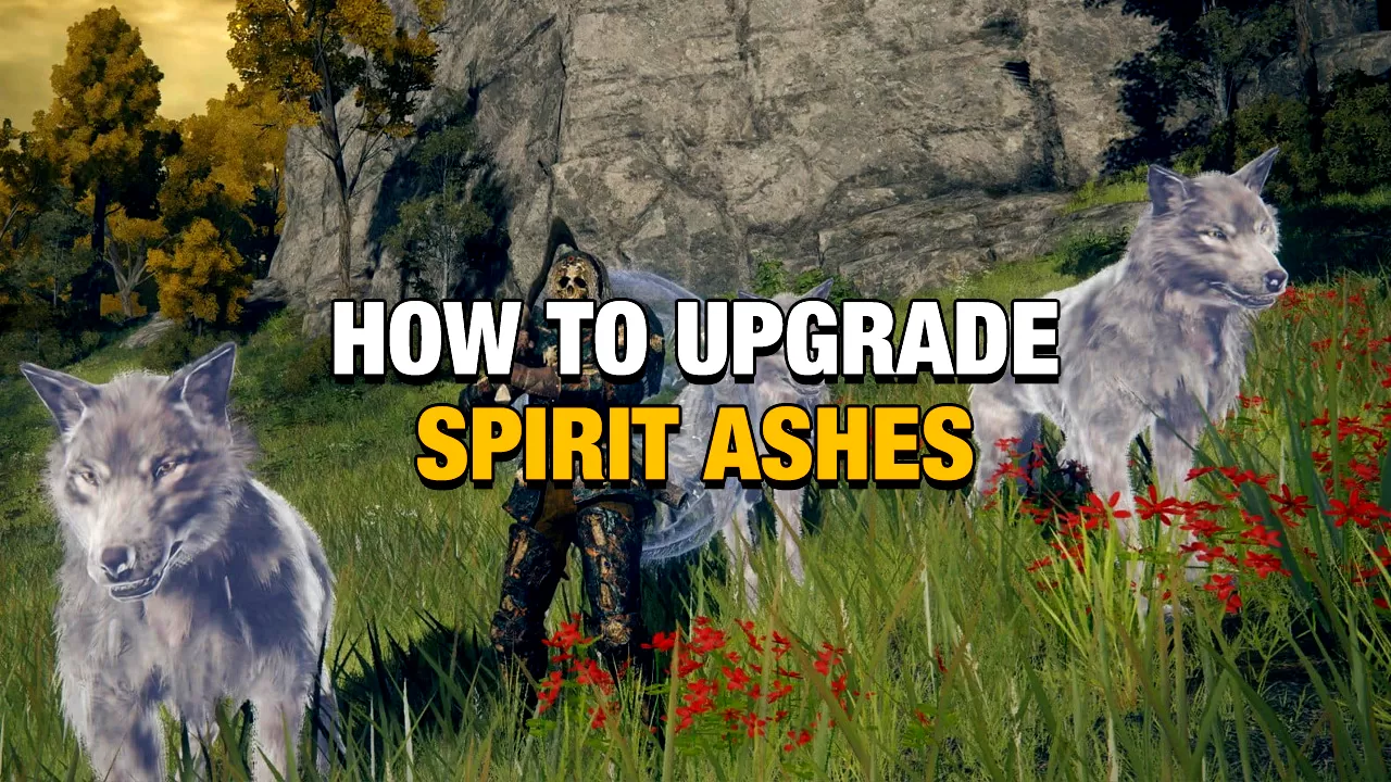 how to upgrade ashes elden ring