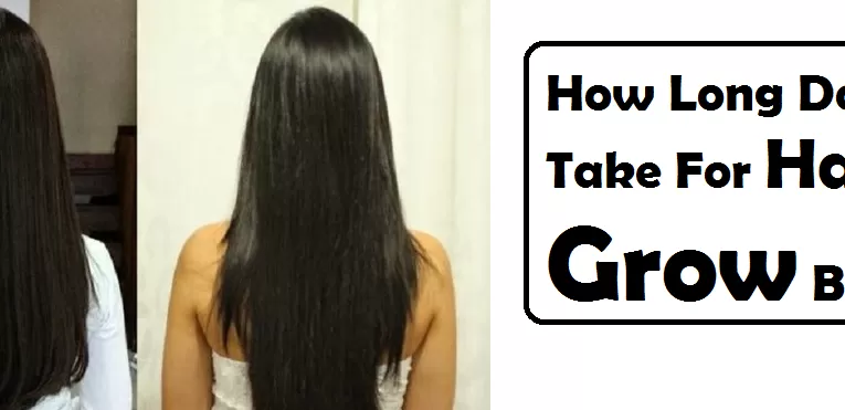 How Long Does It Take For Hair To Grow Back