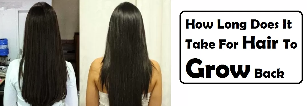 how long does it take for hair to grow back