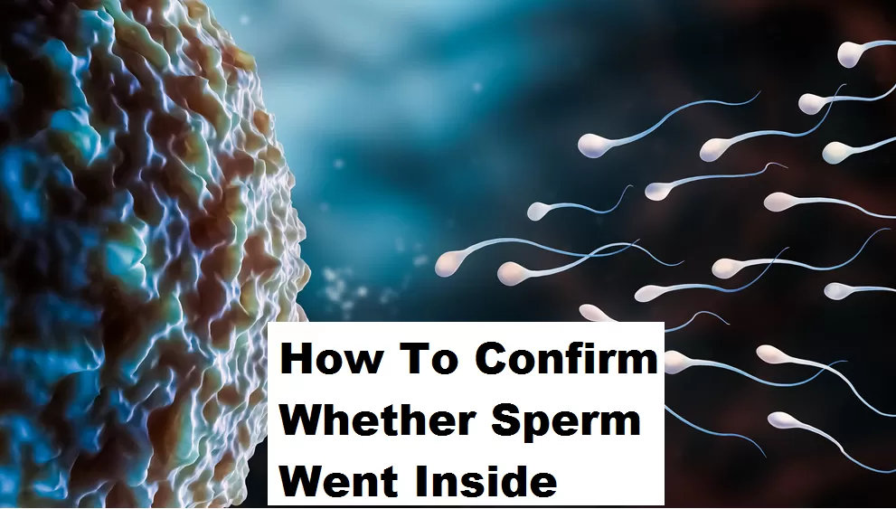 how to confirm whether sperm went inside
