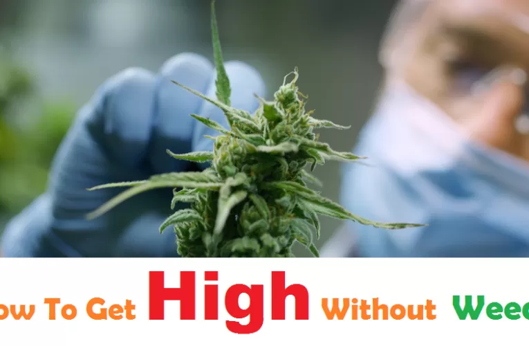How To Get High Without Weed