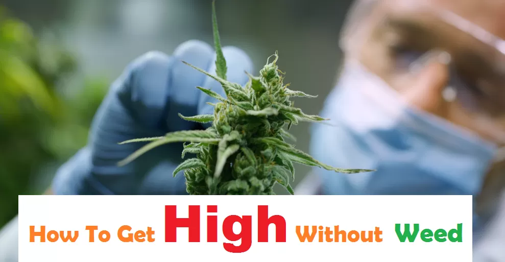 how to get high without weed