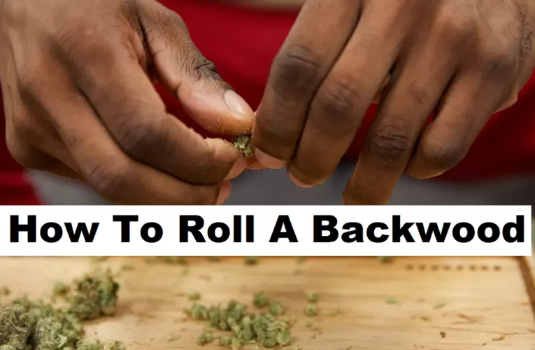How To Roll A Backwood